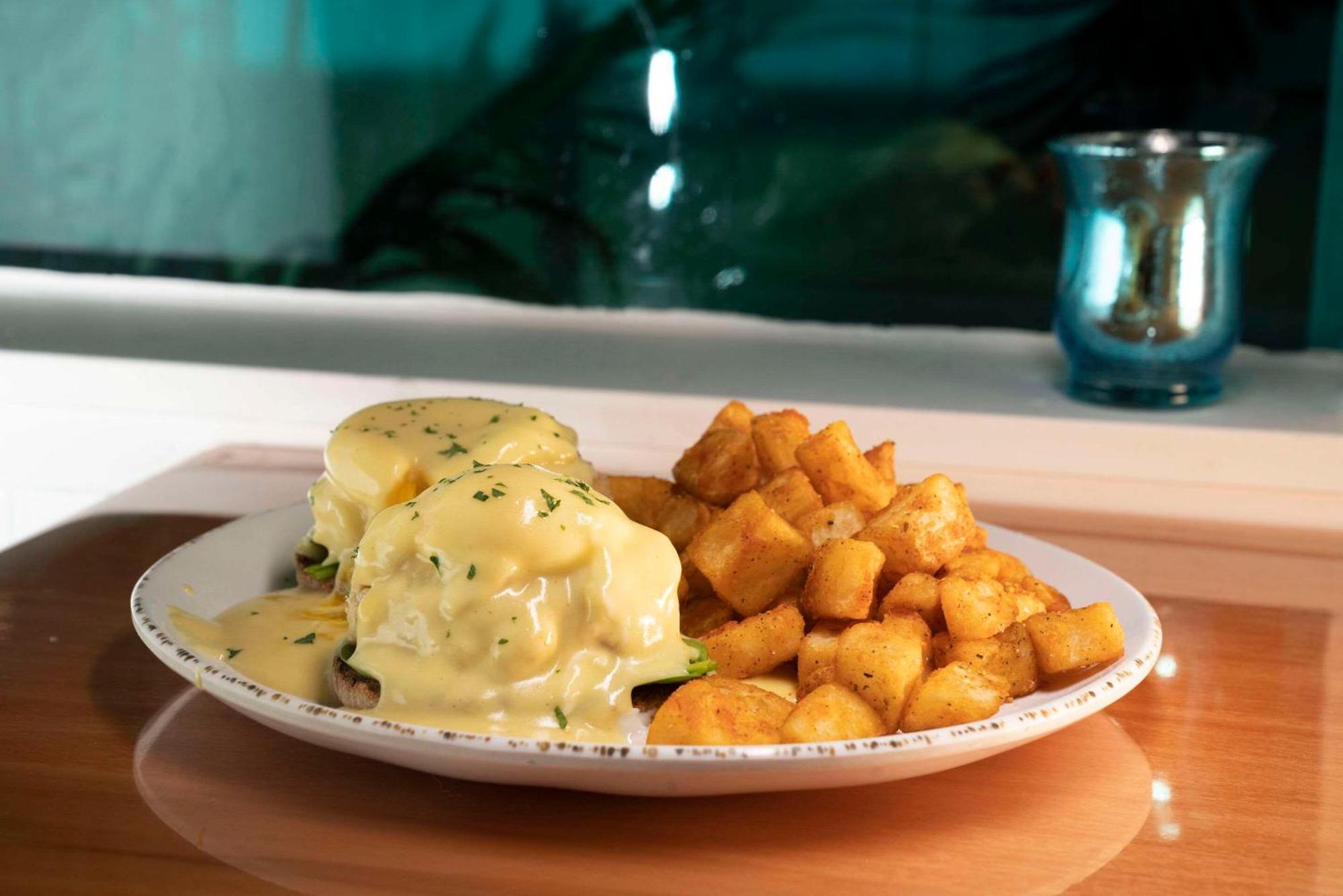 Winter The Dolphin'S Beach Club, Ascend Hotel Collection Clearwater Beach Eksteriør bilde