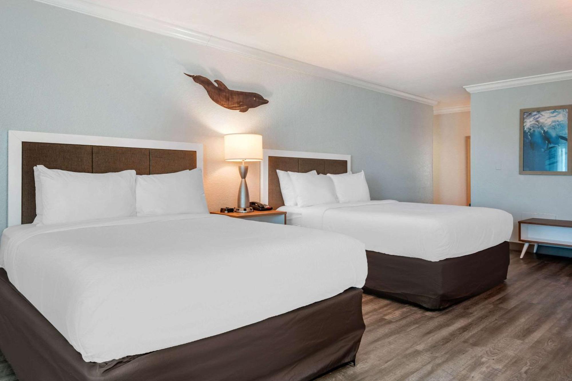 Winter The Dolphin'S Beach Club, Ascend Hotel Collection Clearwater Beach Eksteriør bilde