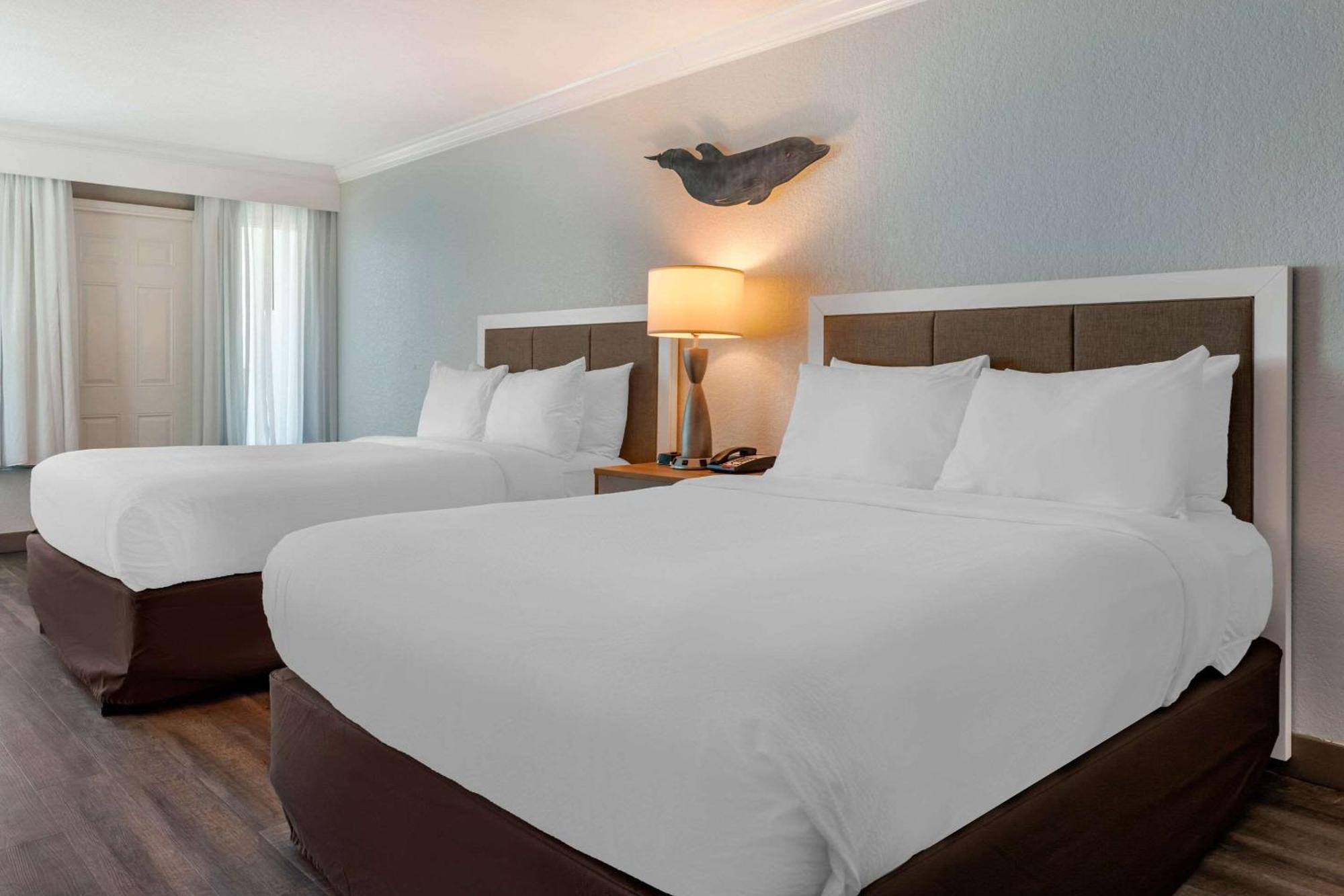 Winter The Dolphin'S Beach Club, Ascend Hotel Collection Clearwater Beach Eksteriør bilde