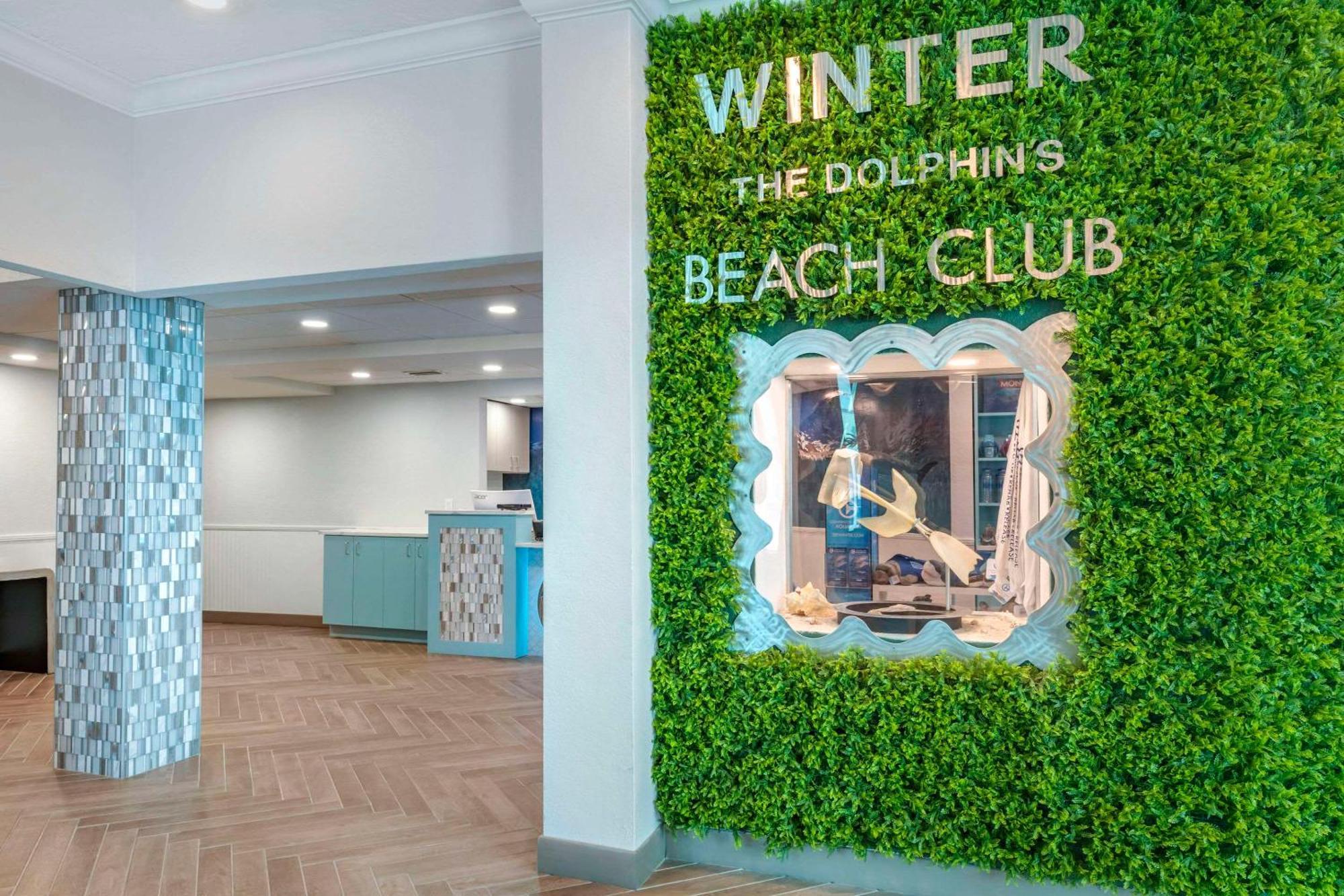 Winter The Dolphin'S Beach Club, Ascend Hotel Collection Clearwater Beach Eksteriør bilde